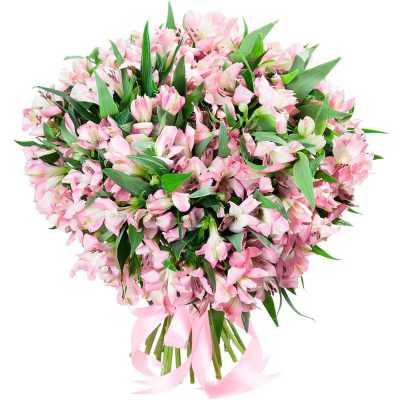 Монобукет альстромерий «Розовый Вальс»