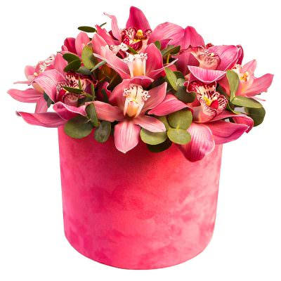 Шляпная коробка с орхидеями «Сафари»