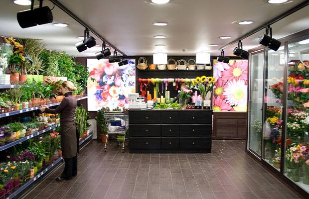 Широкий выбор Широкий выбор