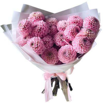 Букет розовых георгин «Лепестковая грация»