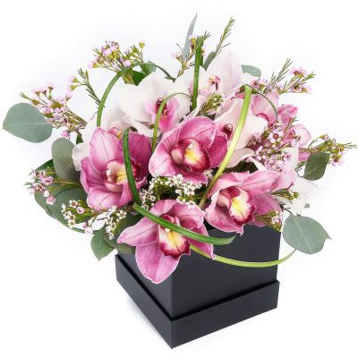 Цветы в коробке «Ночное сияние»