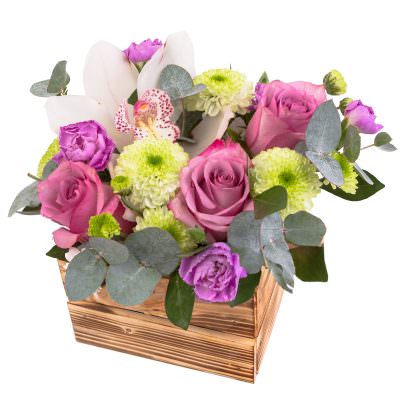 Ящик с цветами «Нежное очарование»