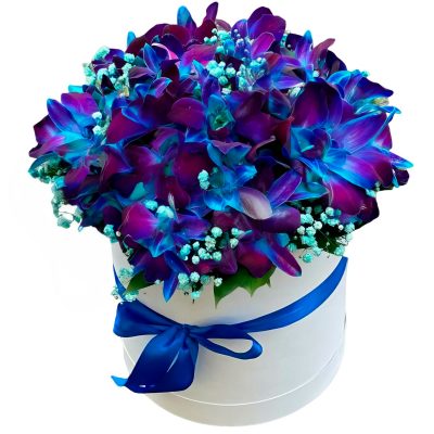 Цветы в цилиндрической коробке «Синий дендробиум»